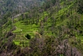 215_Madera_w drodze na Encumeade